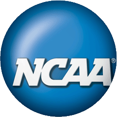 Wholesale College Sports Team Souvenirs