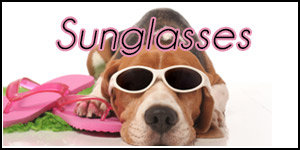 Bulk Sunglasses