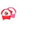 High School Musical Baseball Hat