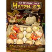 Dinosaur Hatch'Em Eggs Growing Pet