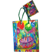Small Everyday Gift Bag