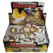 Hatch Em' Eggs Growing Pet