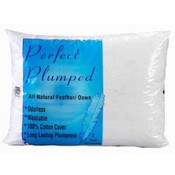 Perfect Plumped  queen feather Pillow