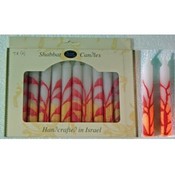 5.5" Shabbat Candles - 12-Packs - "Tree"
