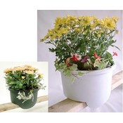 Planter 12" Deck 2X4 Grn
