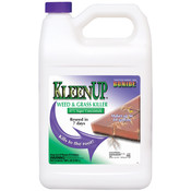 Kleenup 41% Conc Gal