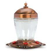 Hummingbird Feeder Jubilee