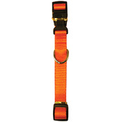 Spunkeez Solid Collar