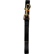 Spunkeez Solid Color Leash