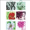Glitter Gift Bag Large Assort -Enchanted Garden