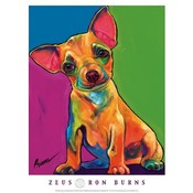 Zeus Wholesale Bulk
