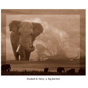 Big Bad Bull Wholesale Bulk
