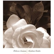 Gardenia Garden