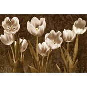 Baroque Tulips Wholesale Bulk