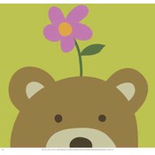 Peek-a-Boo VI Bear Wholesale Bulk