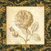 Rose Wholesale Bulk