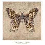 Poster - Leopard Butterfly