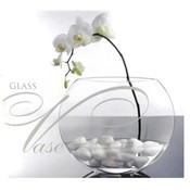Glass Vase of Poland