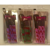 b164- Ladybug  brush set