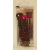 b166- Cherry Brush Set