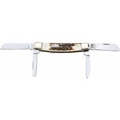 Maxam Congress Knife- Genuine Stag Horn Handle