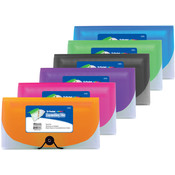 Bazic 13-Pocket Check Size Poly Expanding File