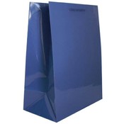 American Greetings Large Gift Bag