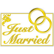 Glittered Just Married Sign