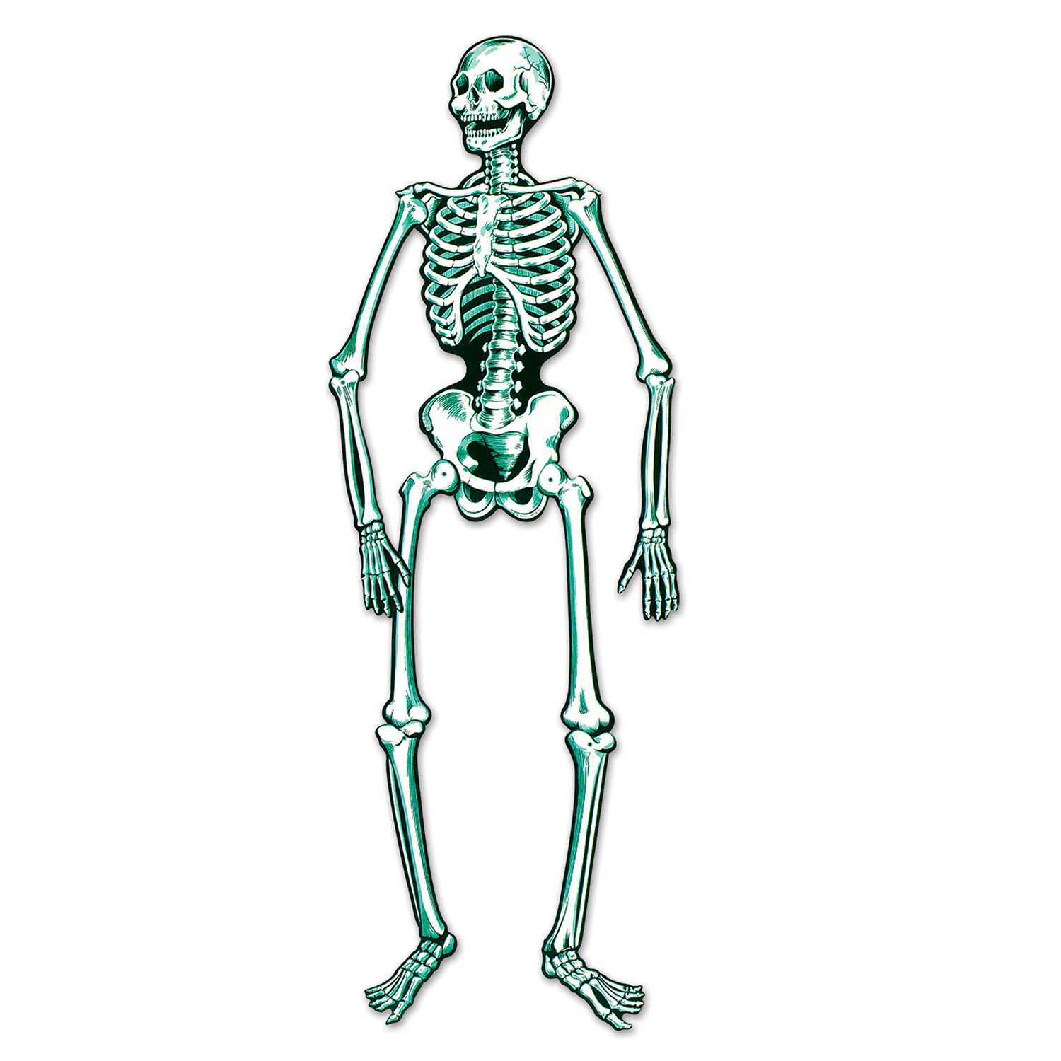 Wholesale Skeleton Halloween Decoration Jointed, 4'7"