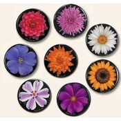 Flower Small Round Magnet 8 Styles