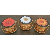 Round Daisy Baskets White 3 Styles