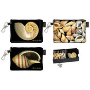 Zip Coin Purse with Display Shell 3 Styles