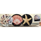 Shell Glass Cutting Boards 3 Styles