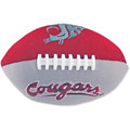 NCAA Football Smasher with Sound - WA State