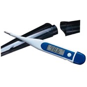 Hypothermia Thermometer