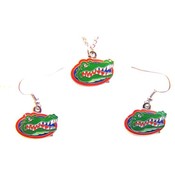 Florida Gators Necklace &amp; Dangle Earring