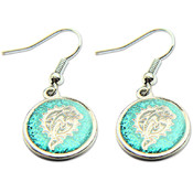 NFL Miami Dolphins Logo Earring Set