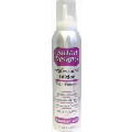 Salon Designs Hair Styling Mousse