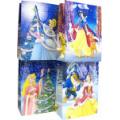 Christmas Disney Princess Gift Bag
