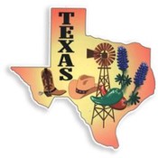 State of Texas Car Magnet