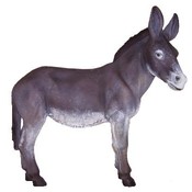 Donkey
