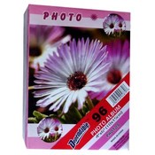 Photo Album - Assorted Floral Designs
