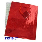 Hologram Gift Bags-Assorted- X-Lg