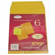 6 Pack Kraft Envelope 6"X9"