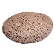 Pumice Stone