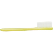 Toothbrush, 39 Tuft, White Nylon Bristles, Ivory