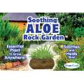 Soothing Aloe Rock Garden