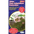 Water Plant Adaptations Exploration