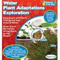 Water Plant Adaptations Exploration