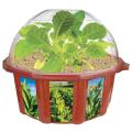 Tobacco Farm